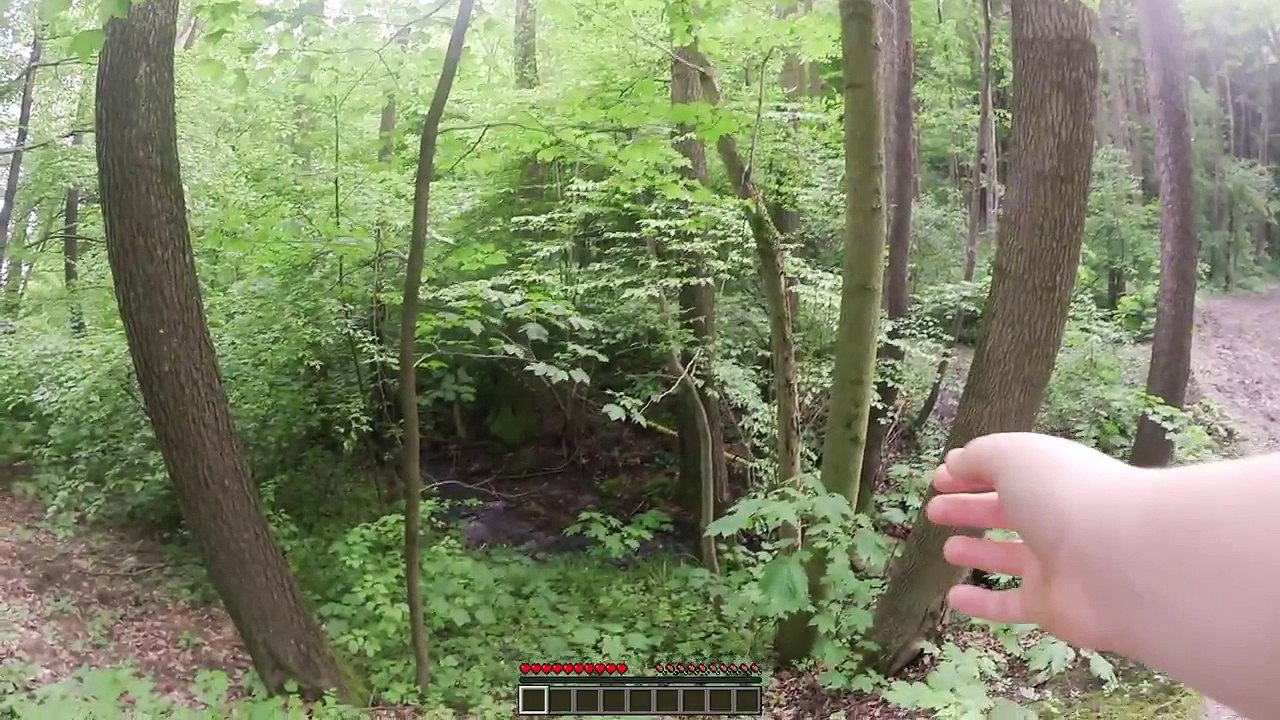Minecraft Real Life