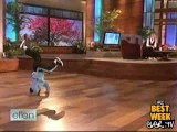 7 Yr Old Break Dancer On Ellen