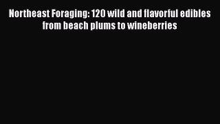 Download Northeast Foraging: 120 wild and flavorful edibles from beach plums to wineberries