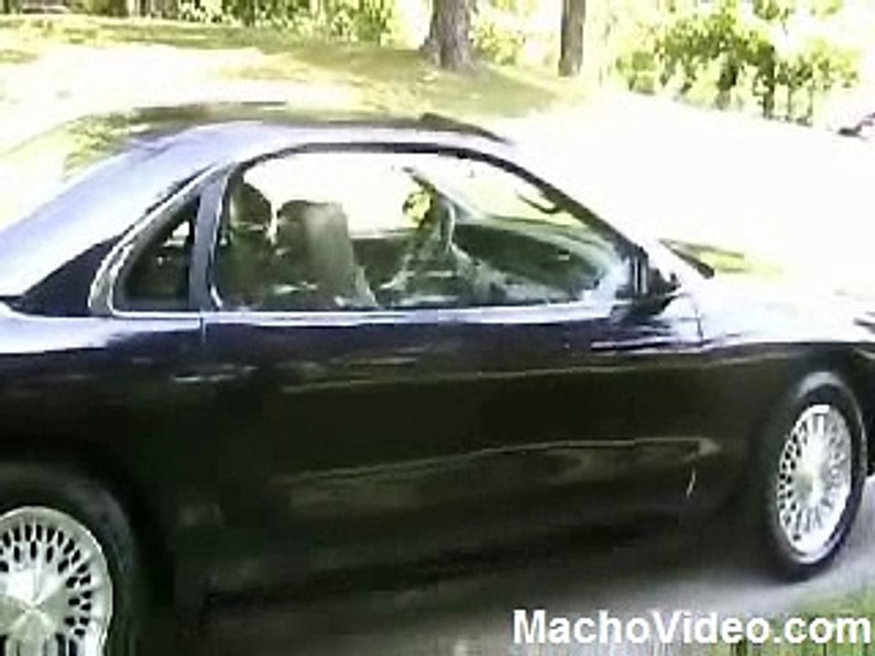 Copy of Intresting Door [from www.metacafe.com]