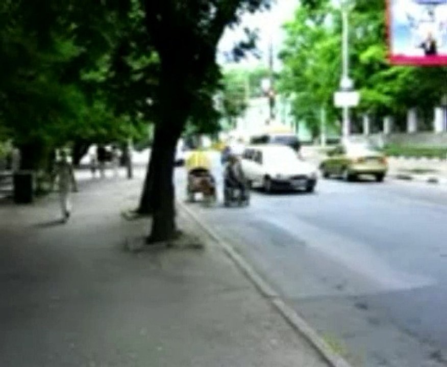 Dog Funny Video