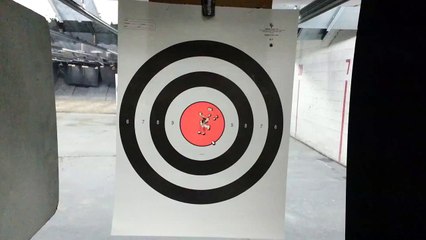 Glock 29...What Recoil...part 2 (Target)