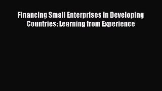 Read Financing Small Enterprises in Developing Countries: Learning from Experience Ebook Free