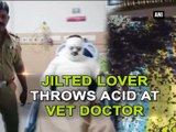 Jilted lover throws acid at VET doctor
