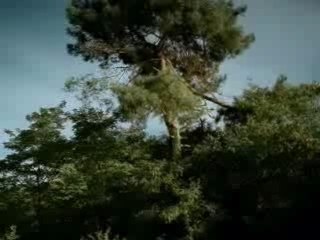 Pub autoroute trampoline