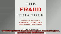 Free book  THE FRAUD TRIANGLE Fraudulent Executives Complicit Auditors and Intolerable Public Injury