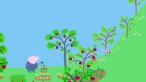 Peppa Pig: Frogs and Worms and Butterflies