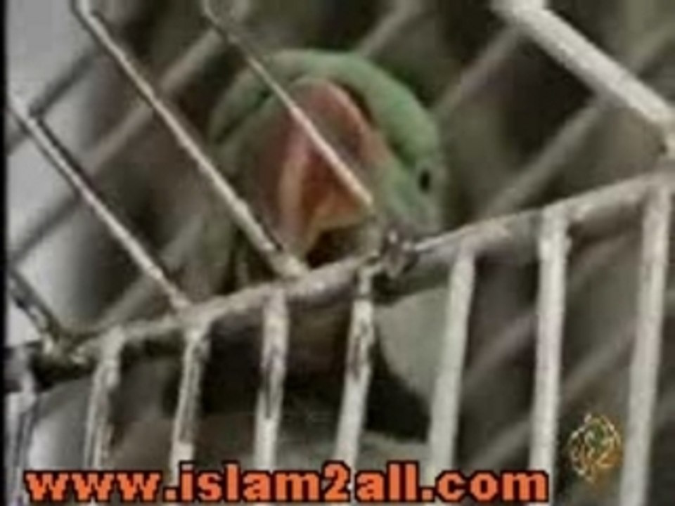 sobhan allah