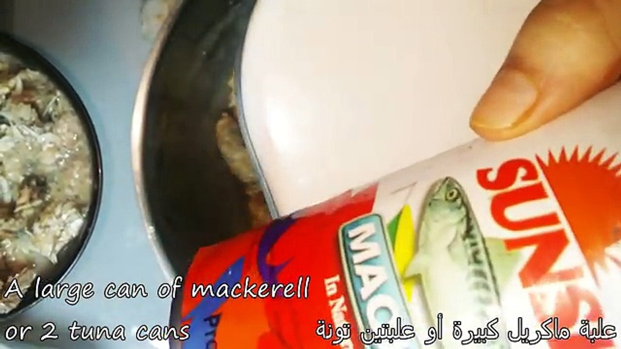 اصنع بنفسك أكل للقطط اقتصادي في البيت