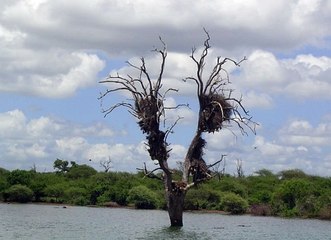 메이저카지노사이트 ☬~、Supercar123。COM 추천:6623、~を해외축구중계ⓢ토토실시간배팅