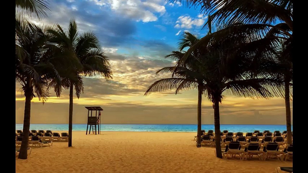 Palm - sea - sand