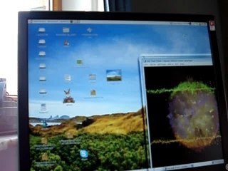 beryl sur ubuntu