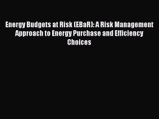 Read Energy Budgets at Risk (EBaR): A Risk Management Approach to Energy Purchase and Efficiency