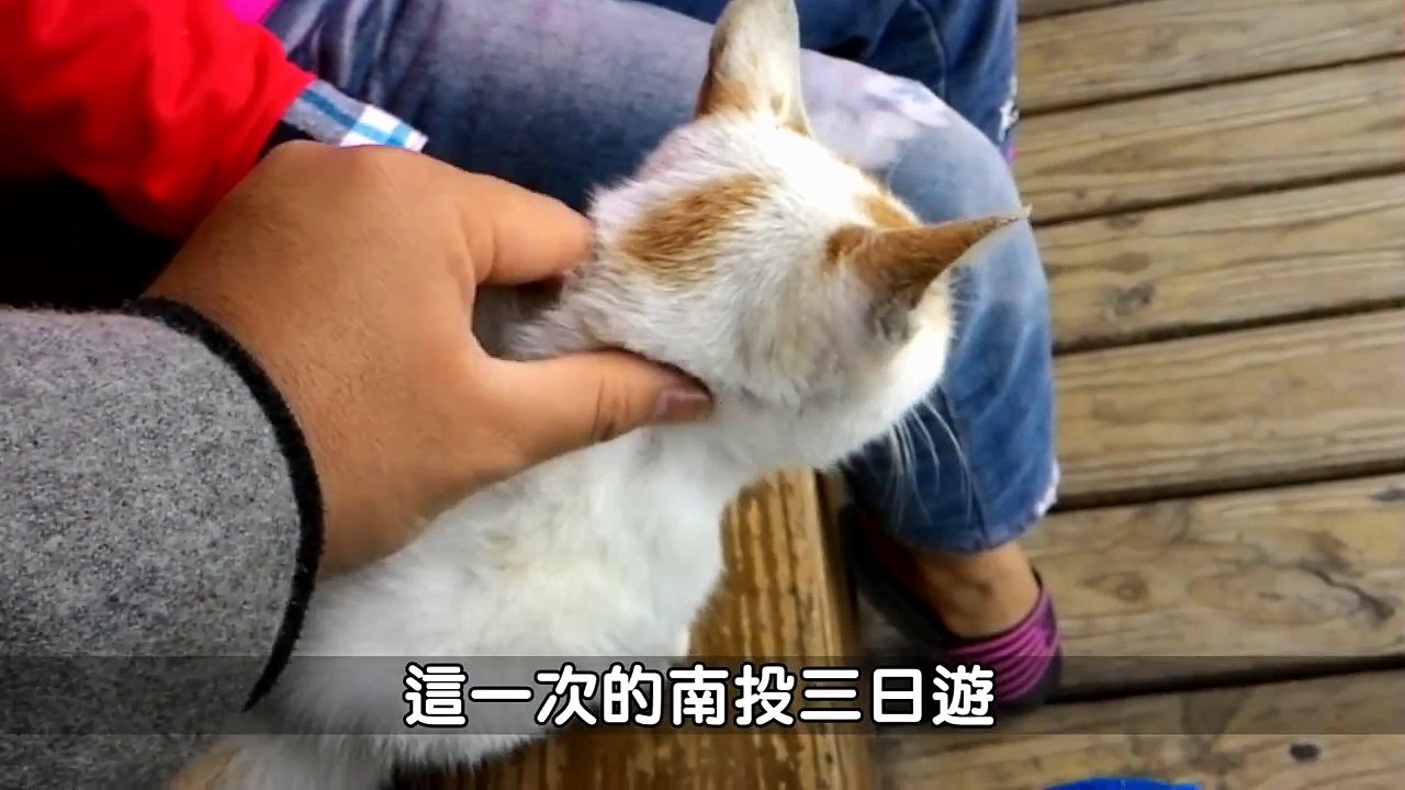 【程禹】日常短片--南投三日遊