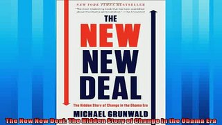 One of the best  The New New Deal The Hidden Story of Change in the Obama Era