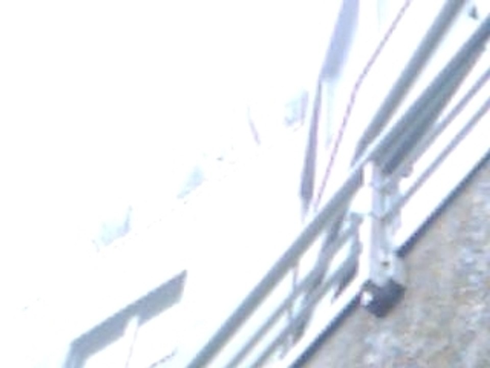 tempête du 08/12/06 à paris ( 2 ).