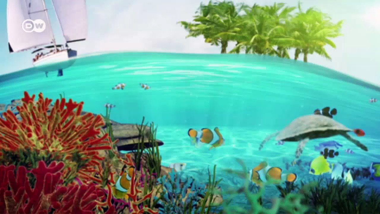 Wildlife conservation in the Philippines | Global 3000