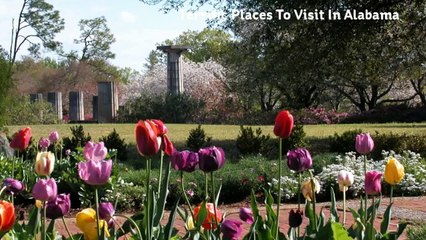 Awesome Events In Alabama