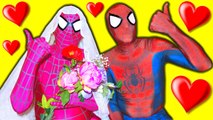 SPIDERMAN & PINK SPIDERGIRL Dream Wedding! Real Proposal Funny Superhero Movie in Real Life   SHMIRL (1080p)