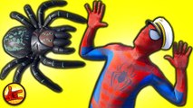 SPIDERMAN Afraid of Spider, Prank on Boat Spider-man vs Spider - Superhero Fun In Real Life - SHMIRL (1080p)
