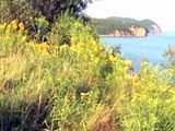 Parc national Fundy, Alma (Nouveau-Brunswick) Canada