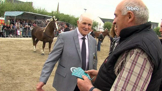 Landivisiau (29). Cheval breton : du grand spectacle