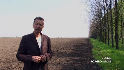 Kada bi i kako trebalo da zaštitite tek posejane useve 447