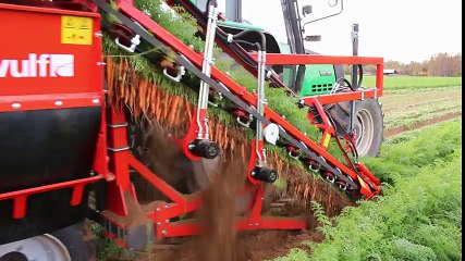Carrot harvester DEWULF P3K PROFI with elevator  - Andershornstein AB Sweden