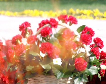 Сотрудники ЦУМа приняли участие в праздновании Дня Победы