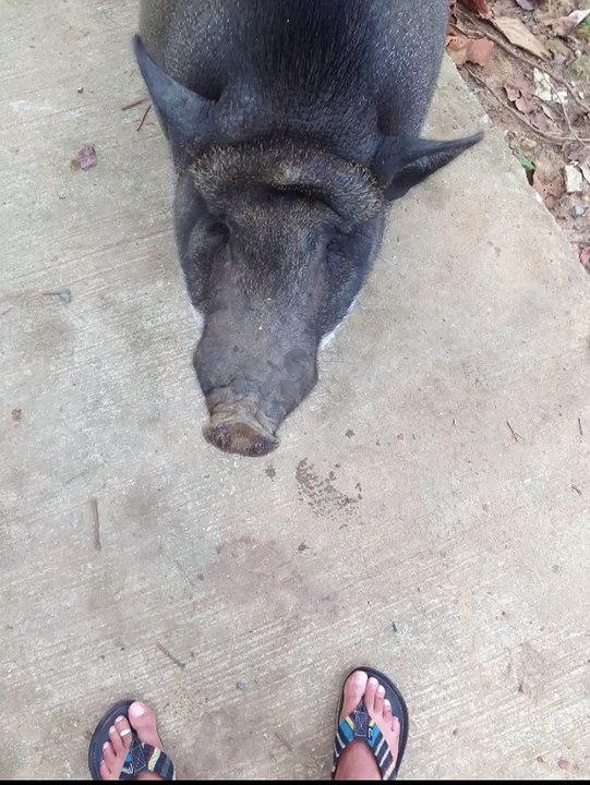 thailand  janvier 2016