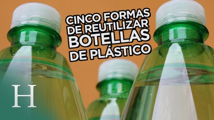 Cinco formas curiosas de reutilizar botellas de plástico