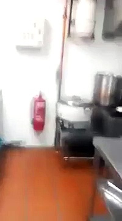 Trouver 20 rats dans la cuisine d'un restaurant - Remake de Ratatouille en vrai