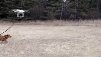 Vers l'infini et au-delà !