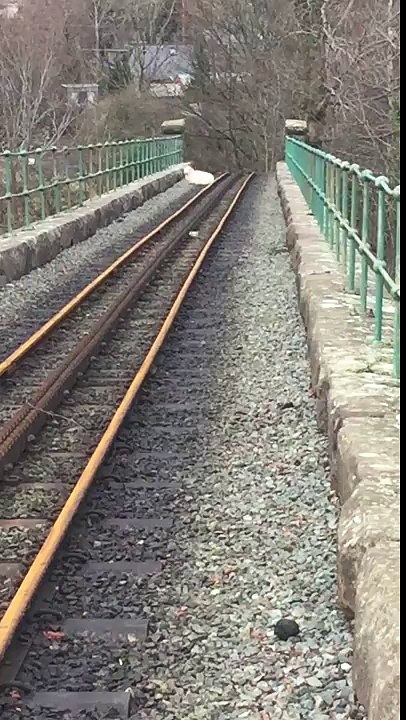 Network rail melt down more than leaves on track