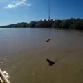 Fishing For Crocodiles -By Funny & Amazing Videos Follow US!!!!!!!!