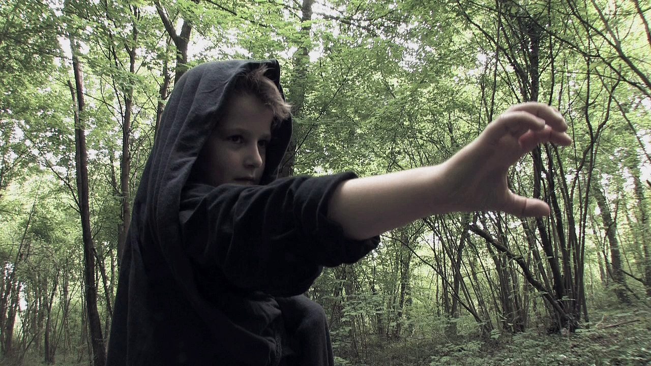 Le hareng rouge - le pouvoir des jardins stream