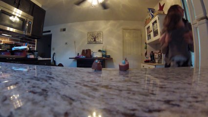 Une belle méthode pour faire prendre ses médicaments à votre chien