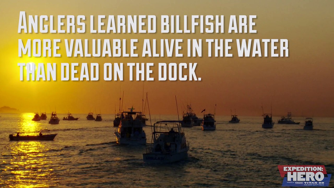 Fish for the Future