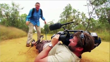 Kameralara Poz Veren Kertenkele