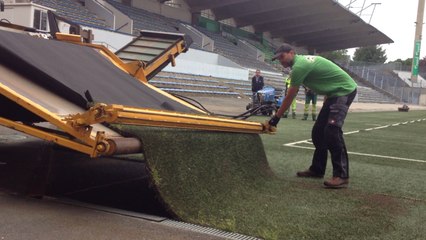 La pelouse du Moustoir vendue aux enchères !