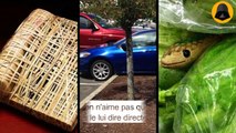 16 blagues d'enfant qu'on a tous rêvé de faire au moins une fois-1