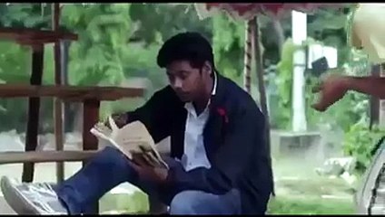 Minecraft Collections 100