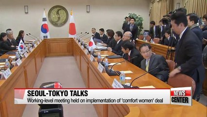 Korea, Japan aim to speed up establishment of  'comfort women' foundation