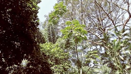 Clipe 15 Anos Gabriela - Sweet Lolita