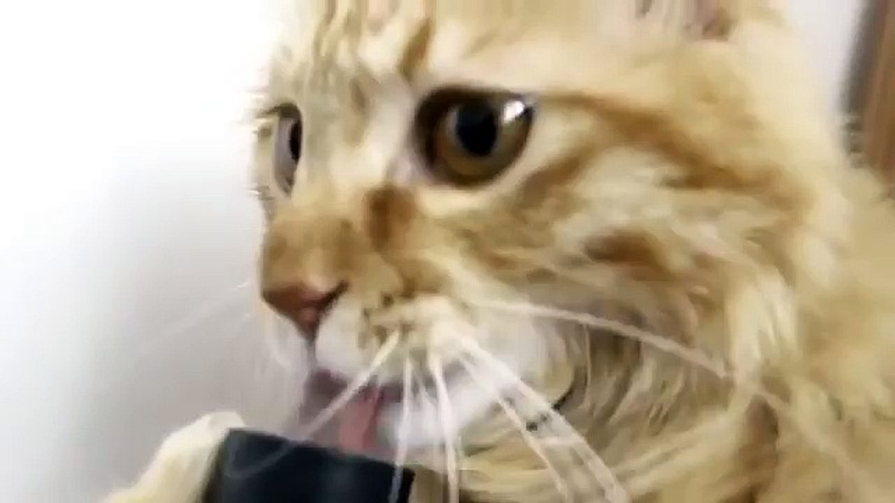 This is what happens when dental patients get to control the suction