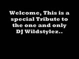 Hardstyle Mix 2009 (22/25) Presented by The Lion (Wildstylez Special I)