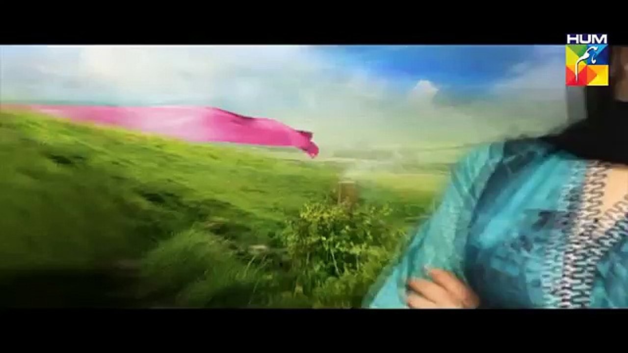 Haya Ke Daman Mein Episode 35 Full Hum TV Drama 17 May 2016