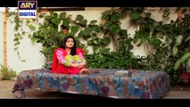 Dil-e-Barbad Episode 252 on Ary Digital in High Quality 17th May 2016