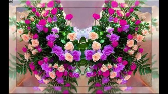 Uvenuce Narcis beli...