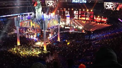 Triple H Live Entrance at WrestleMania 29